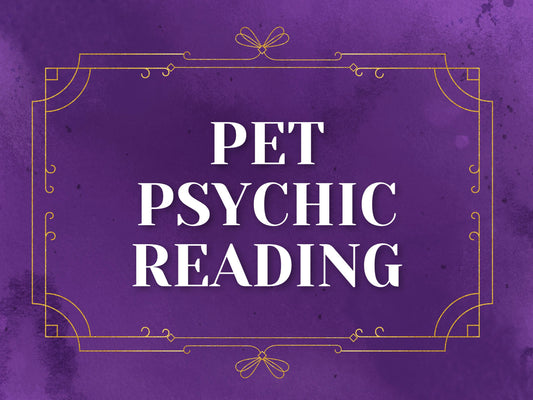 In Depth Pet Psychic Reading
